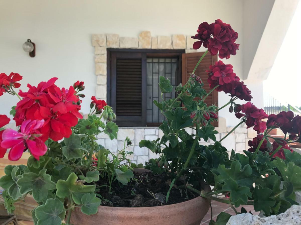 Villa Rosa - Ai Piedi Dell'Etna Бруколи Экстерьер фото